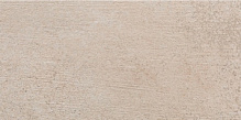 ARGENTA BRONX STONE 250X500X8
