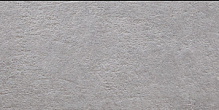 ARGENTA LIGHT STONE GREY 250X500X8